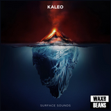 Kaleo - Surface Sounds (2LP)