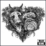 Kate Bush - Hounds Of Love (Baskerville Edition)