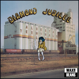 Cindy Lee - Diamond Jubilee (3LP + Poster)