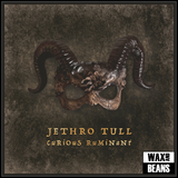 Jethro Tull - Curious Ruminant (1LP)