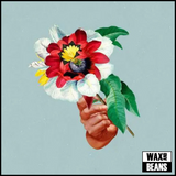 Maribou State - Kingdoms In Colour (1LP)
