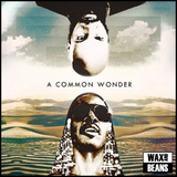 Amerigo Gazaway - Common Vs Stevie Wonder: A Common Wonder (2LP)