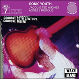 Sonic Youth - J’Accuse Ted Hughes (1LP)