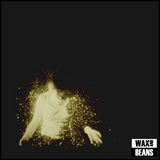 Wolf Alice - My Love Is Cool (2LP Gatefold Sleeve)