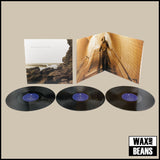 Polygon Window - Surfing On Sine Waves (Expanded Edition) (3LP)