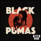 Black Pumas - Black Pumas (1LP)