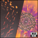 c418 - Minecraft Volume Beta (Warp Speed Vinyl)
