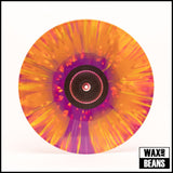 c418 - Minecraft Volume Beta (Warp Speed Vinyl)