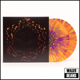 c418 - Minecraft Volume Beta (Warp Speed Vinyl)
