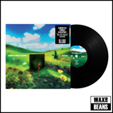 Rainbow Kitten Surprise - Bones (1LP)