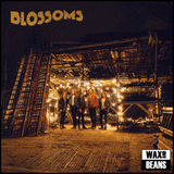 Blossoms - Blossoms (1LP)