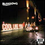 Blossoms - Cool Like You (1LP)
