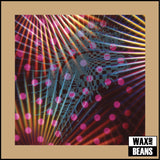 Loop - Twelves (3LP)