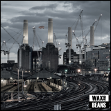 Pink Floyd - Animals (2018 Remix) (1LP)