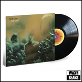 Steely Dan - Katy Lied (1LP)