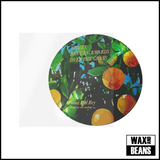 Lana Del Rey - Violet Bent Backwards Over The Grass (Picture Disc)