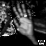 Gary Clark Jnr - JPEG RAW (2LP)
