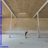 Torres - What An Enormous Room (Indies Only Blue & White Vinyl)