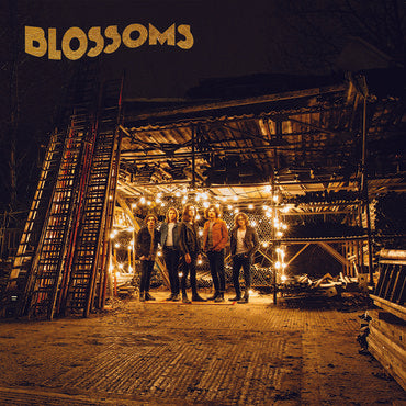 Blossoms - Blossoms
