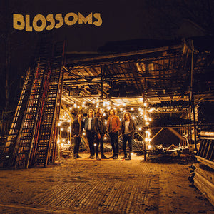 Blossoms - Blossoms