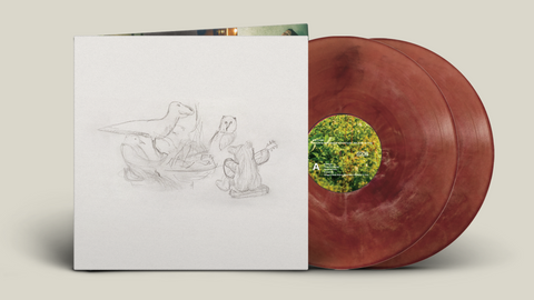 Big Thief - Dragon New Warm Mountain I Believe In You (Eco-Friendly Coloured Vinyl 2LP)