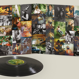 Big Thief - Dragon New Warm Mountain I Believe In You (2LP)