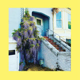 The Reds, Pinks and Purples - They Only Wanted Your Soul (Coloured Vinyl)