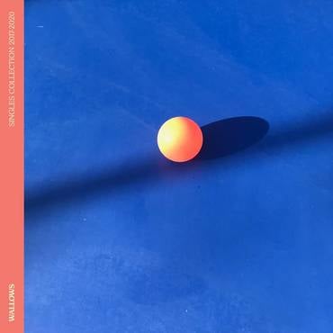 Wallows - Singles Collection 2017 - 2020 (LP) (RSD22)