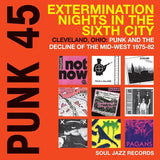 Various Artists: Punk 45 - Extermination Nights In The Sixth City: Soul Jazz Records (2LP Black Vinyl)