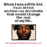 The Koreatown Oddity - Little Dominiques Nosebleed (2LP)