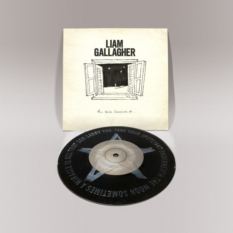 Liam Gallagher - All You're Dreaming Of (7" Single Black Vinyl)