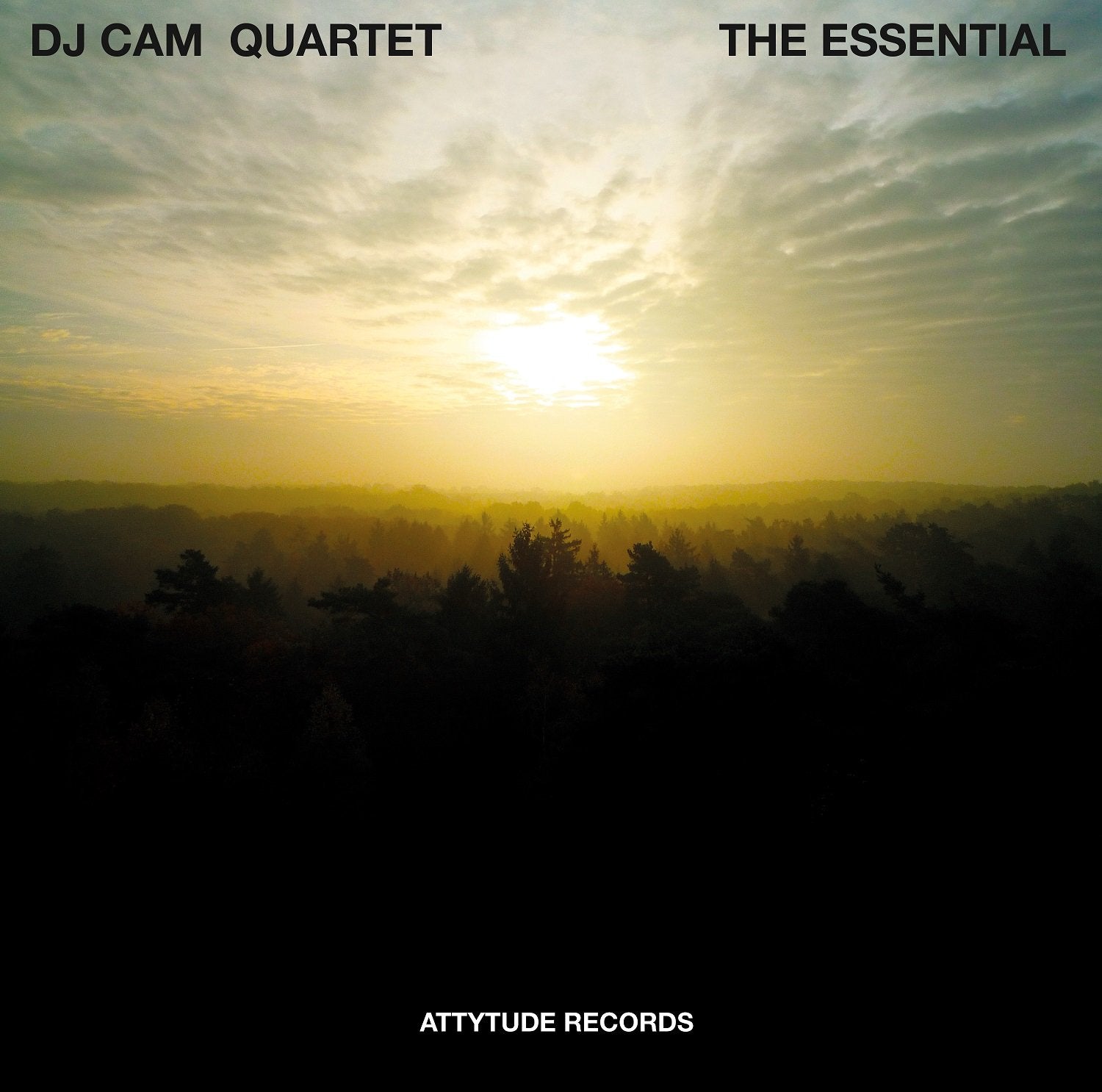 DJ Cam Quartet - The Essential