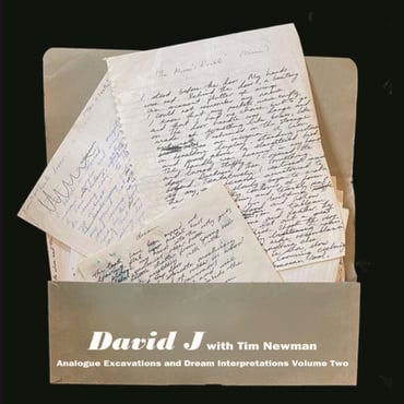 David J with Tim Newman - Analogue Excavations & Dream Interpretations Volume 2 (LP) (RSD22)