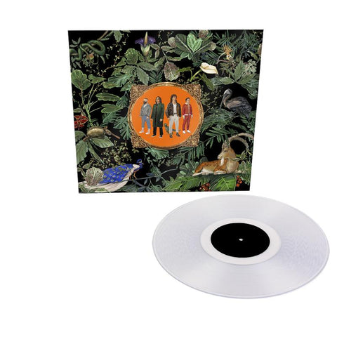 Don Broco - Amazing Things (Transparent Coloured Vinyl)