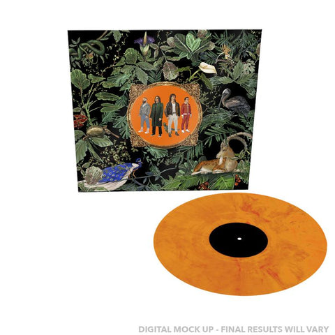 Don Broco - Amazing Things (Orange Coloured Vinyl)