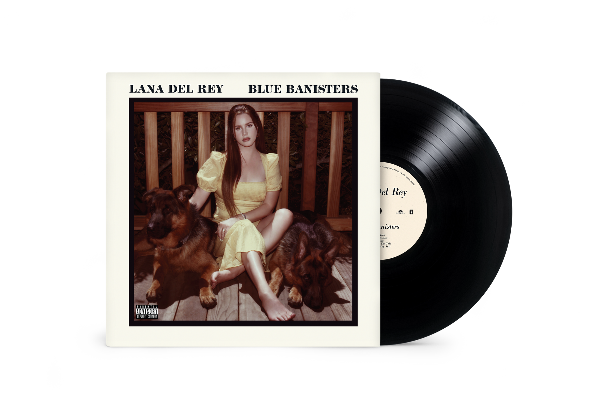 Lana Del Rey - Blue Banisters (2LP Black Vinyl)