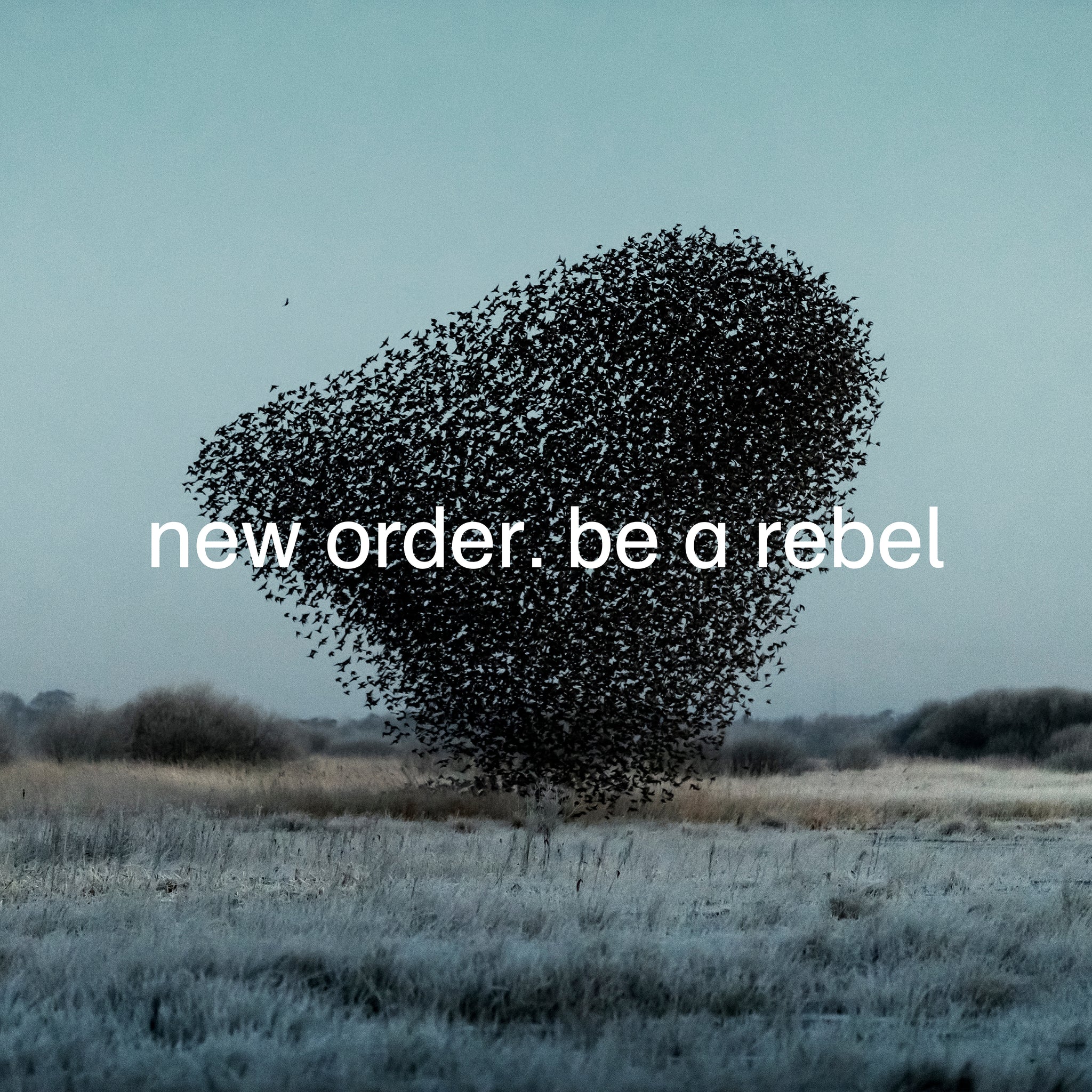 New Order - Be a Rebel (Dove Grey Coloured Vinyl)