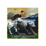 Rex Orange County - Who Cares? (Double Sided Lenticular Cover Vinyl)