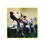 Rex Orange County - Who Cares? (Double Sided Lenticular Cover Vinyl)