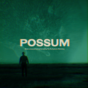 OST - The Radiophonic Workshop - Possum OST (2LP) RSD2021