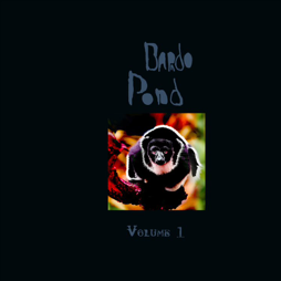 Bardo Pond - Volume 1 (Orange LP) RSD2021