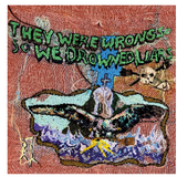 Liars - They Were Wrong, So We Drowned
