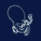 Sigur Ros - Agætis Byrjun (2LP)