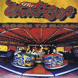 The Waterboys - Room To Roam (2LP Limited Edition Half Speed Master)