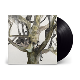 Destroyer - Labyrinthitis