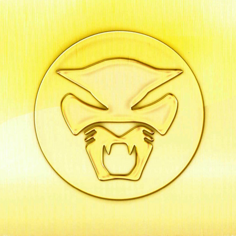 Thundercat - The Golden Age of Apocalypse (Ten Year Anniversary Edition) LP (BF21)