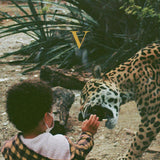 Unknown Mortal Orchestra - V (2LP)