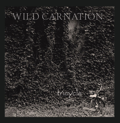 Wild Carnation - Tricycle (LP) Unofficial RSD23