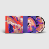 Bicep - Isles (2LP Picture Disc)