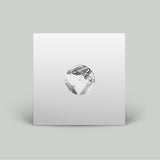 Róisín Murphy and DJ Koze - Can’t Replicate (12” Edit)